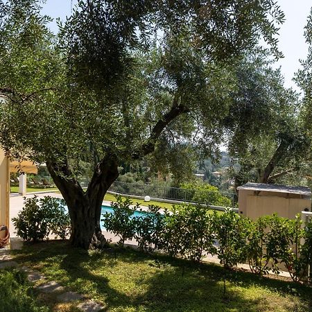 Ionian Sun Daire Paleokastritsa Dış mekan fotoğraf